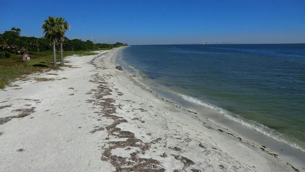 Advocates champion a family-friendly nude beach on Florida’s Gulf Coast